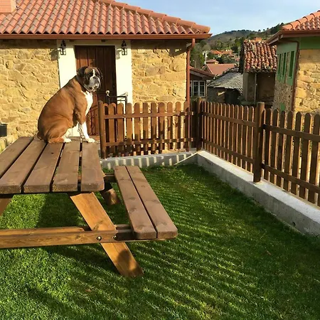 Charming House In With Shared Pool * Biescas (Asturias)