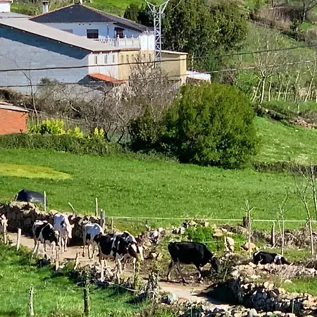 Charming House In With Shared Pool