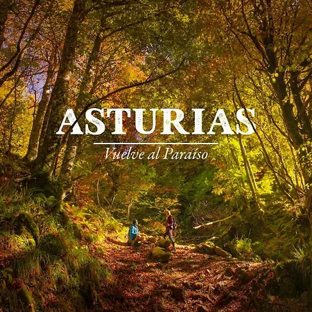 度假居 Charming House In With Shared Pool